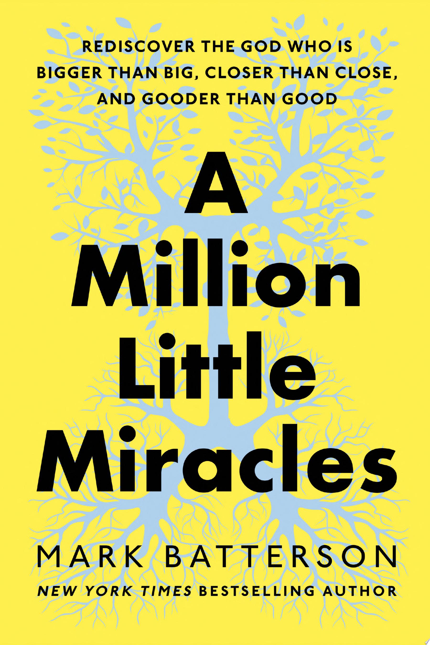 Image for "A Million Little Miracles"