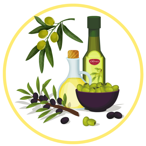 Olive branches and olive oil illustration