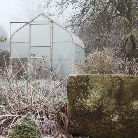 Frosty garden and greenhouse on grey winter day