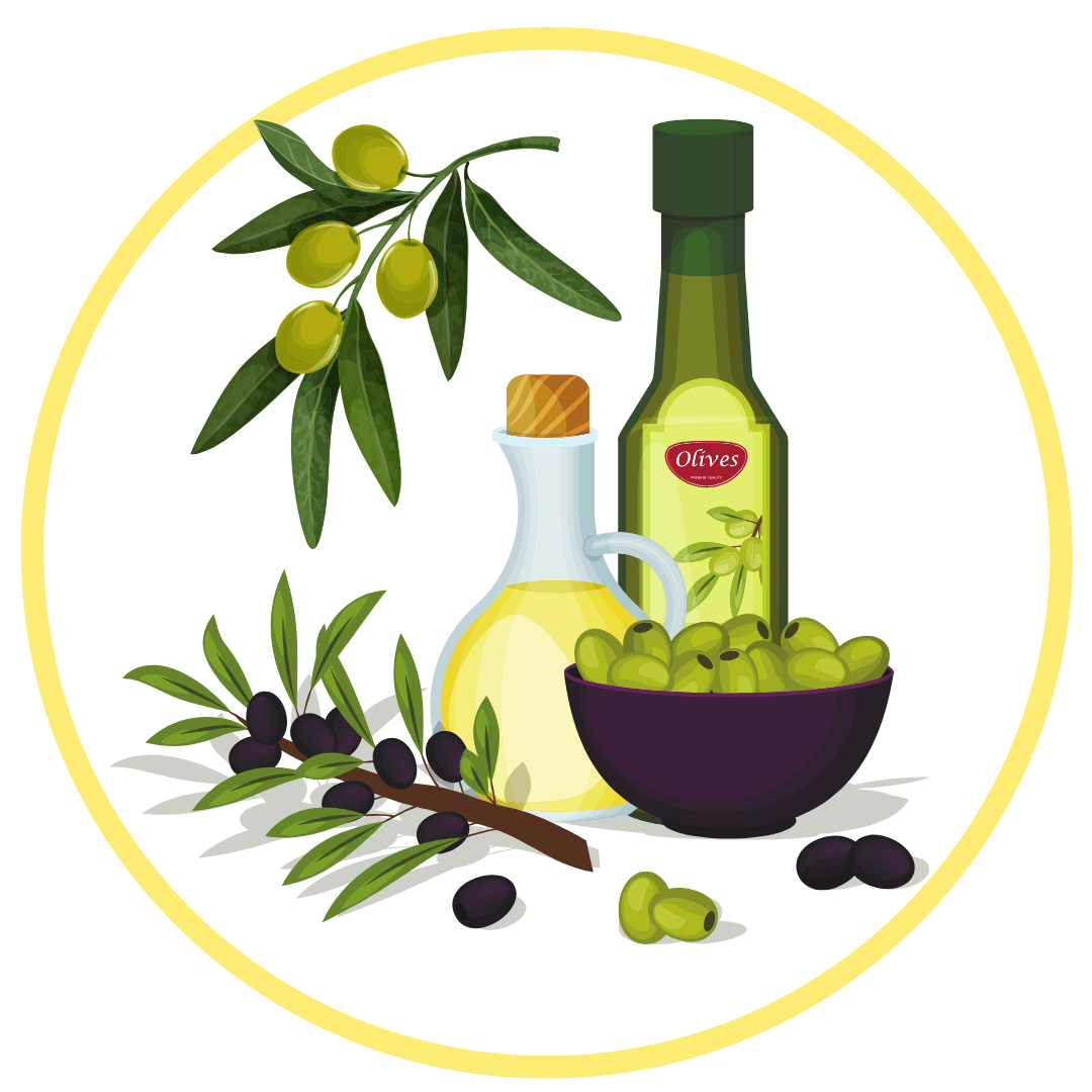 Olive branches and olive oil illustration